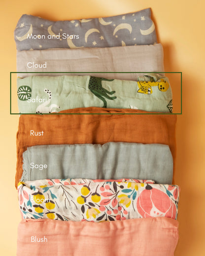 Celebrate Luxury Baby Gift Set for Baby Boy - Safari