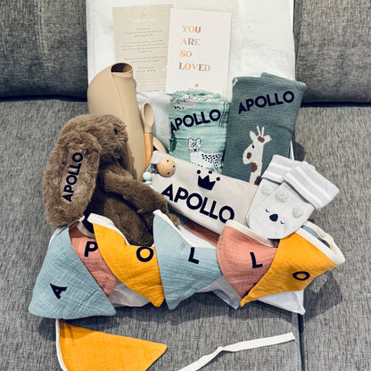 Celebrate Luxury Baby Gift Set for Baby Boy - Safari