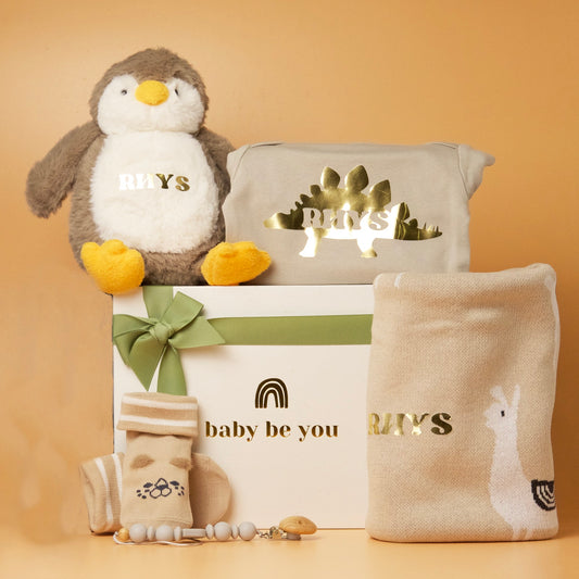 Baby Essentials Gift Set (Multiple Colours)